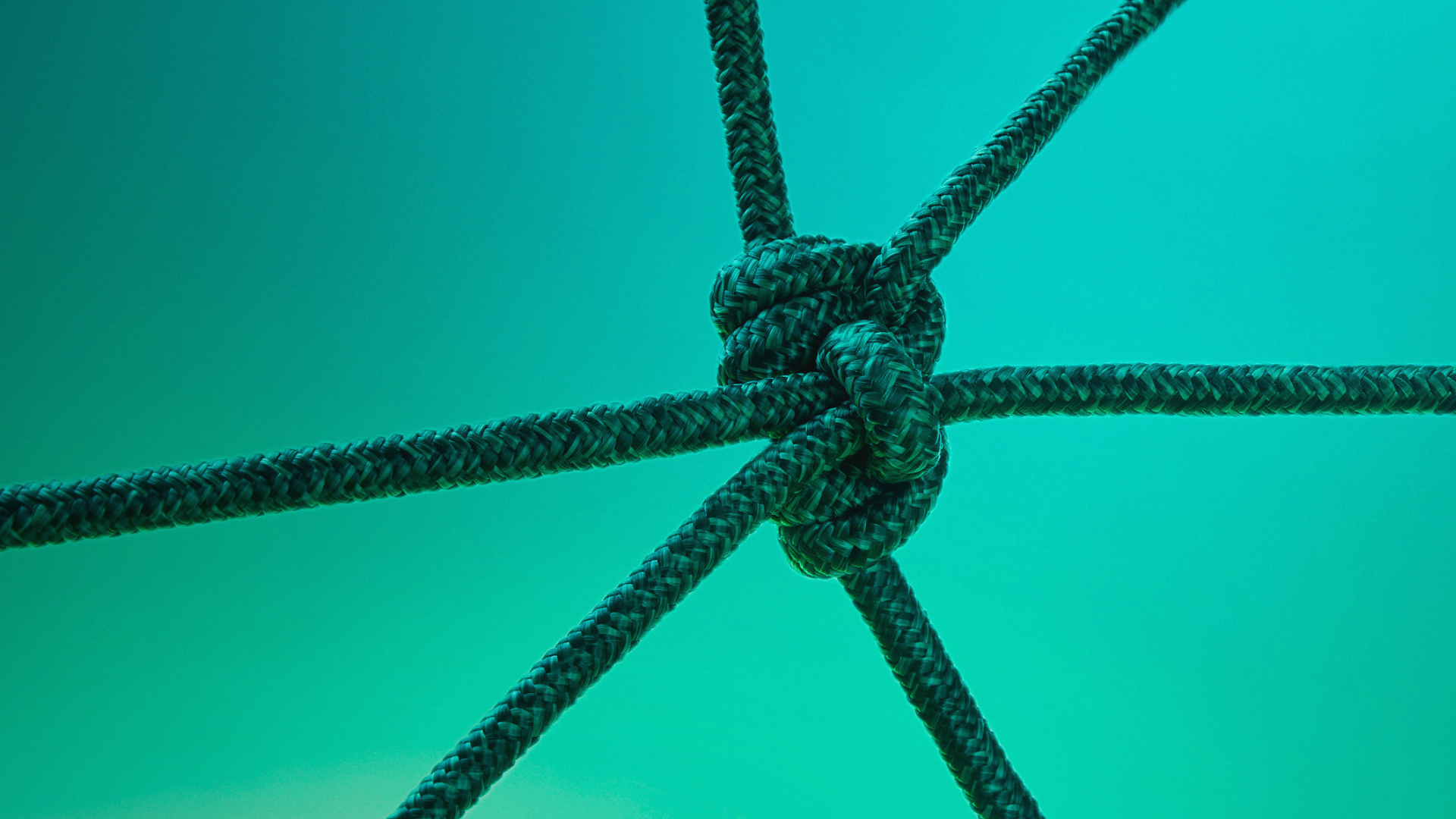  Hoshin Kanri connects every level of an organization to one direction.